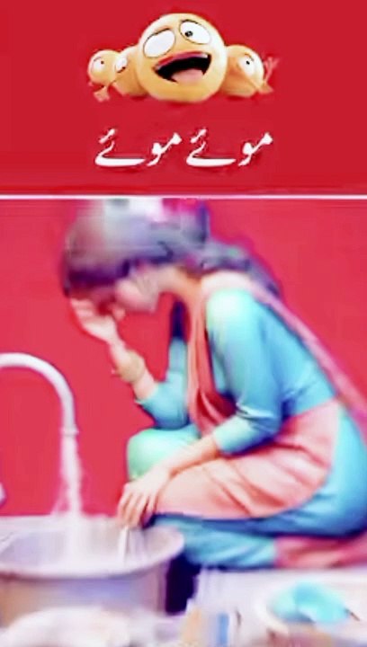 Sub ki Life mazy ma ha ha_20240925_065412039