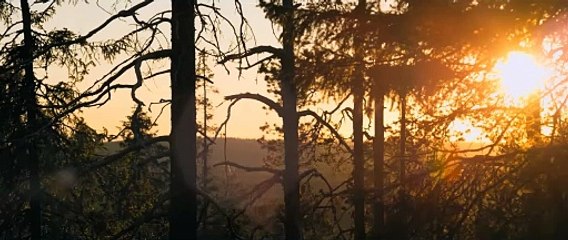 Heavier Trip | movie | 2024 | Official Trailer