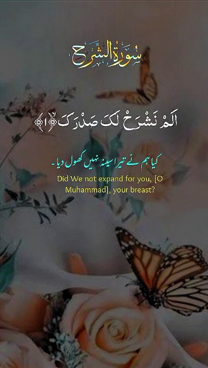 Amazing vedio