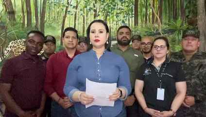 CNDS anuncia acuerdo con ganaderos para 'Plan Cero Deforestación'
