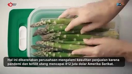 SETELAH 77 TAHUN TUPPERWARE AKHIRNYA MENYATAKAN BANGKRUT