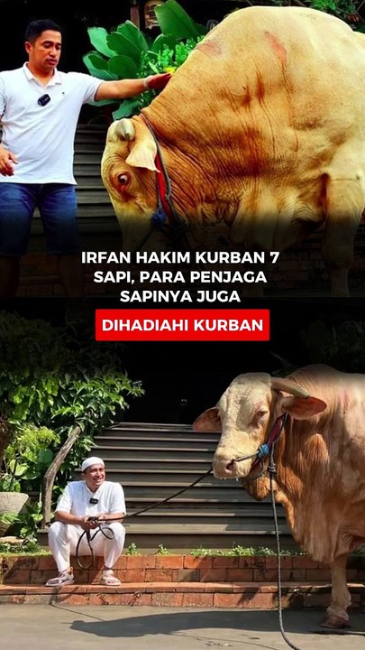 Irfan Hakim Kurban 7 Sapi, para Penjaga Sapinya Juga Dihadiahi Kurban
