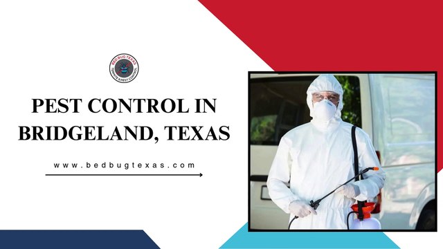 Expert Pest Control Services in Bridgeland TX | Bed Bug Texas Termite & Pest Control