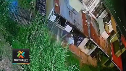 tn7-Video: Vecinos denuncian constantes agresiones contra un perro en Zapote-240924