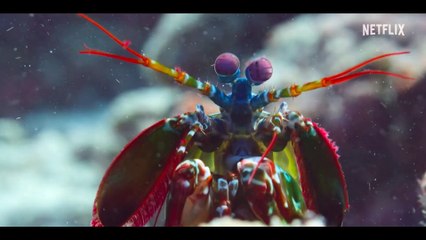 Unsere Ozeane Trailer OmdU