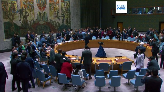 Zelensky: la Russia deve essere costretta alla pace in base alla Carta delle Nazioni Unite