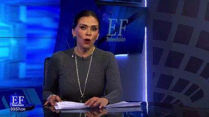 "Michi" aventurero: gatito viaja mil 400 kilómetros y vuelve a casa