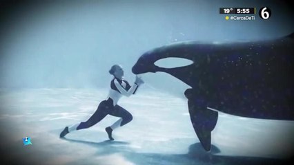 La ballena que terminó con la vida de su entrenadora