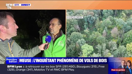 Meuse: l'inquiétant phénomène des vols de bois découpé en pleine forêt