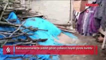 Görüntüler infial yaratmıştı! Şiddete gören çobanın yürek burkan hayatı