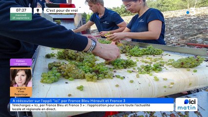 25/09/2024 - ICI Matin France Bleu Hérault en vidéo