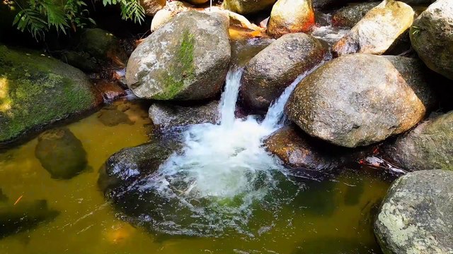 Âm nhạc thư giãn trị liệu với cảnh đẹp nhân gian - Dưới tán cây rừng