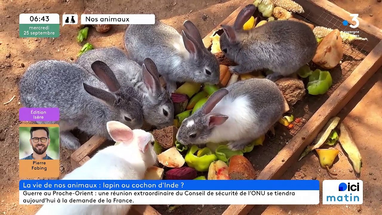 25/09/2024 - ICI Matin France Bleu Isère en vidéo