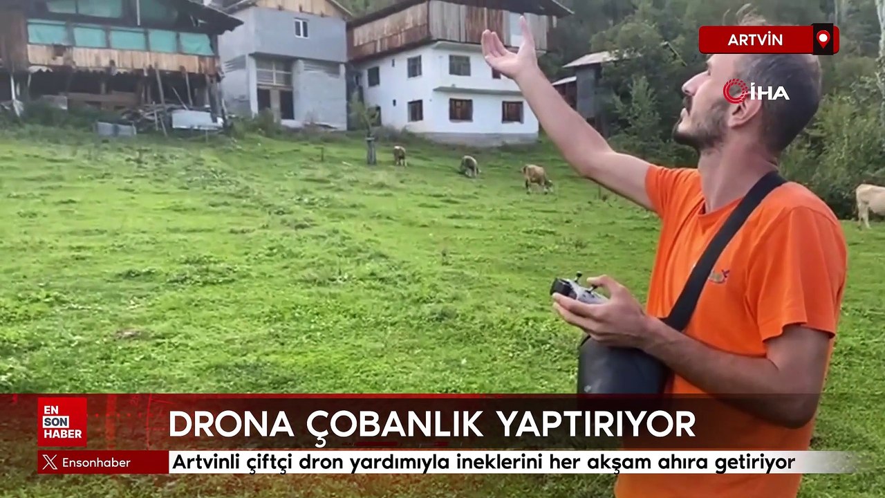 Artvinli çiftçi dron yardımıyla ineklerini her akşam ahıra getiriyor