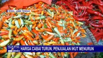 Di Pasar Langon Tegal, Harga Cabai Turun Hingga Rp24 Ribu per Kilogram!