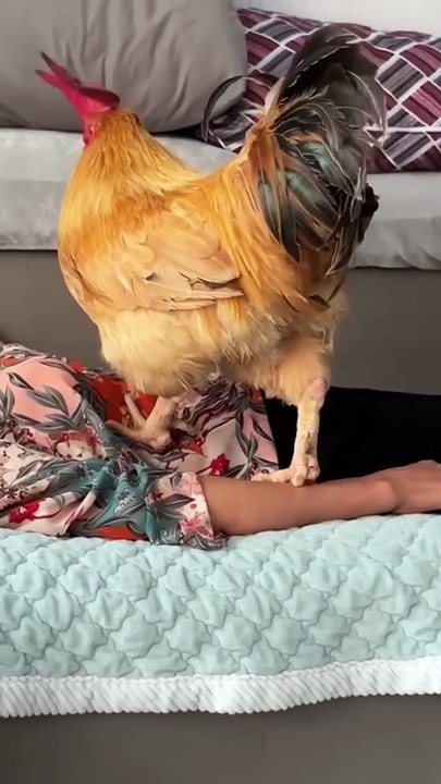 What roster do when I sleep