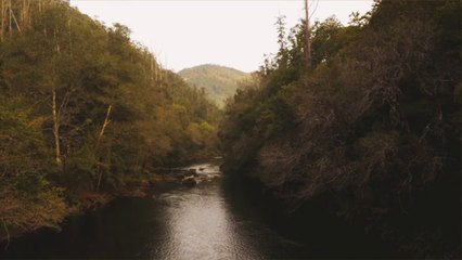 Bosques de España en otoño