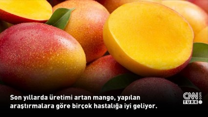 25  Eylül 2024 günün öne çıkan sağlık haberleri...