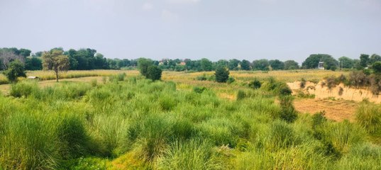 VIDEO: पूरा  प्रदेश तर...  हरसोरा बांध की नदी सूरखनली  नदी रह गई प्यासी