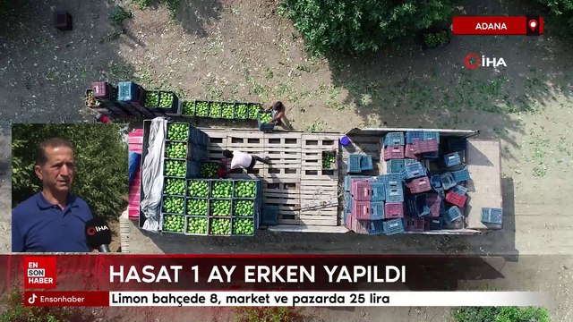 Limon bahçede 8, market ve pazarda 25 lira