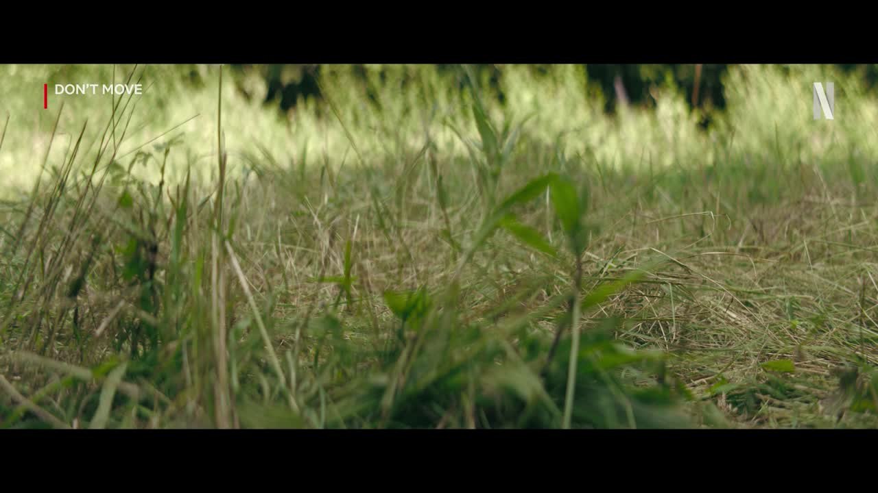 Don't Move Trailer