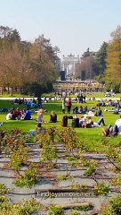 Dancing as Cardio Improve Heart Health and Boost Mood