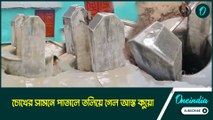 হঠাৎ পায়ের তলায় সরল জমি! বোঝার আগেই পাতালে তলিয়ে গেল আস্ত কুয়ো