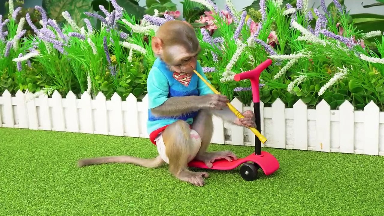 Monkey Baby Bon Bon eats Sweet Cola Jelly with ducklings in the garden and goes shark fishing