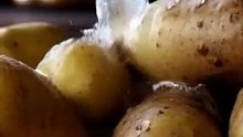 Apprends le Mot "Lbtata" en Darija Marocain | Pomme de Terre en Arabe Marocain !