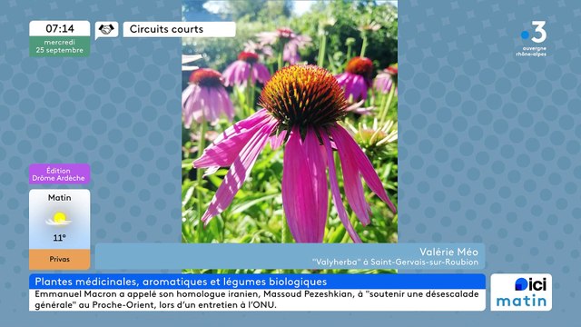 À Saint-Gervais-sur-Roubion, Valyherba , des plantes médicinales et aromatiques Simples , des légumes Bio