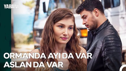 Derin ve Yaman Arasındaki Ormanların Kralı Kavgası - Yabani