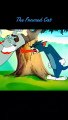 Tom and Jerry cartoons, cartoons, Tom, Jerry, kids cartoons