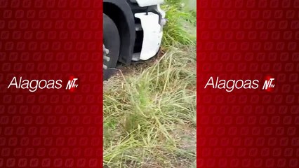 Caminhão sai da pista na BR-101 e motorista fica gravemente ferido em Porto Real do Colégio