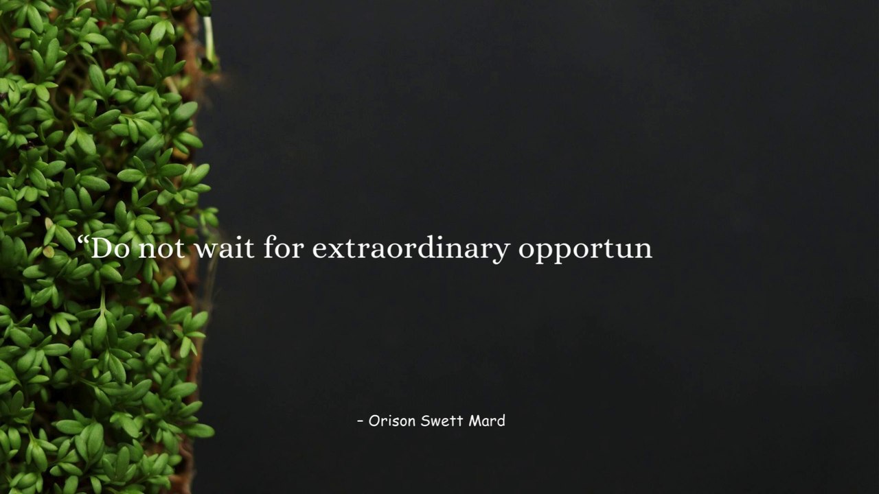 Money Quotes That Will Change Your Mindset – Perfect for WhatsApp Status & Social Media