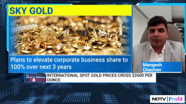 Sky Gold: Will Diamond & 18-Carat Segment Lead To Higher Margins? | NDTV Profit