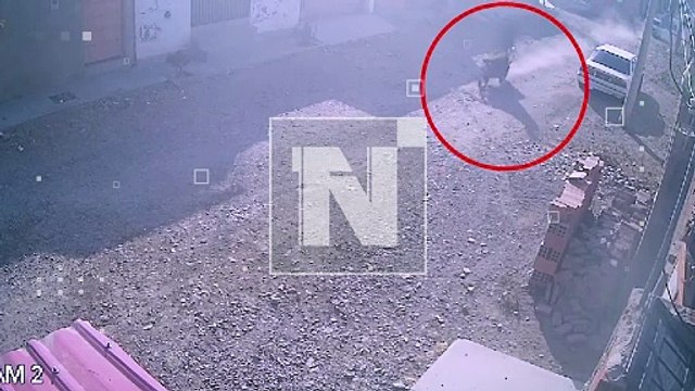 Video: Así fue la la fuga de ‘motoladrones’ que robaron y chocaron frente a una EPI