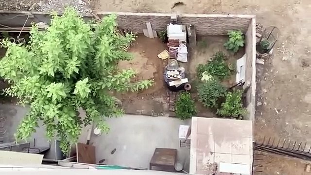 What to Feed a 60-Day-Old Rottweiler Puppy | Thor the Rottweiler Dog Training Vlog