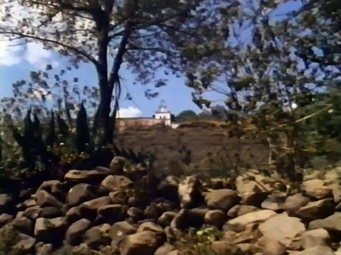 The Mystery of Animal Pathfinders