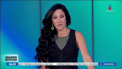Bebé pingüino se ha convierte en una celebridad