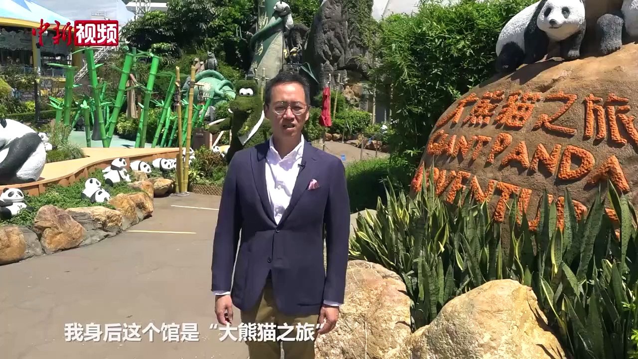 香港海洋公园主席庞建贻：“老中青”三代大熊猫将亮相-中新网视频