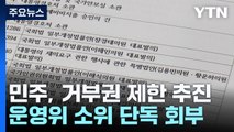 민주, 거부권 제한 등 추진...'위헌 논란' / YTN