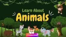 Let's Go To The Zoo - Animal Song For Kids - Nursery Rhymes & Kids Songs