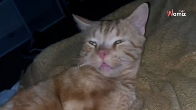 Elle dort quand elle sent une « présence » : un revenant s'est introduit dans sa chambre pendant la nuit (vidéo)