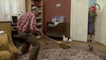 Lud zbunjen normalan epizoda 48