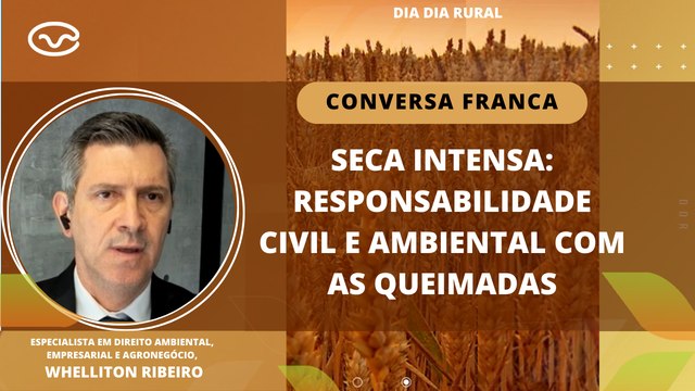 Seca intensa: responsabilidade civil e ambiental com as queimadas