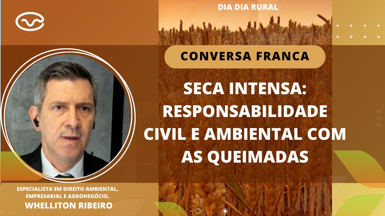 Seca intensa: responsabilidade civil e ambiental com as queimadas