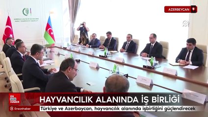 Türkiye ve Azerbaycan'dan hayvancılık alanında iş birliği