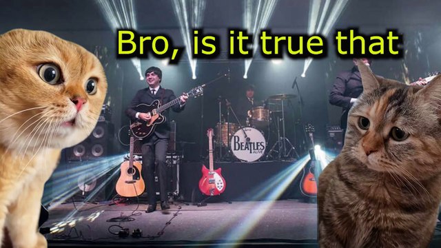 When your Friend Doesn't like the Beatles #catmemes