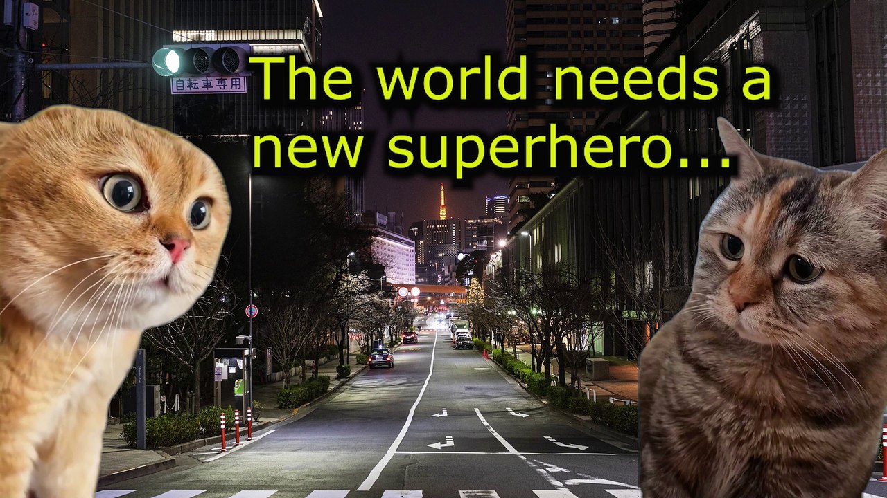 When a Cat becomes a Superhero