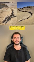 Ils ont trouvé un squelette de baleine en plein milieu du Sahara